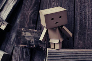 Danbo