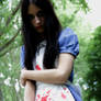 American mcgee's Alice...