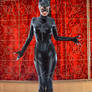 New costume tribute - Catwoman