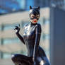 Cat is Here