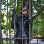 Nine Lives