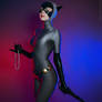 Catwoman The Animated Series