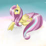 Fluttershyyyy