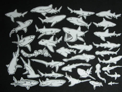 Almost all the shark stickers