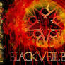 BVB logo