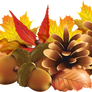 Autumn png