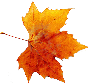 Autumn png