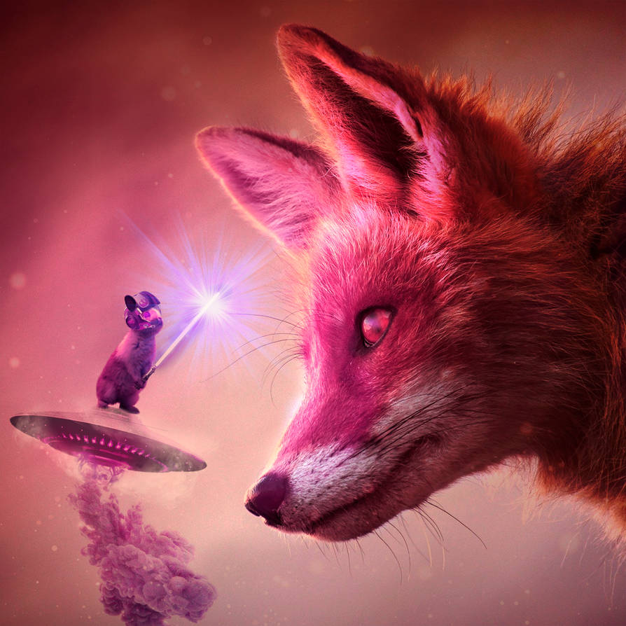 Rabbit vs Fox by Ikas14 on DeviantArt