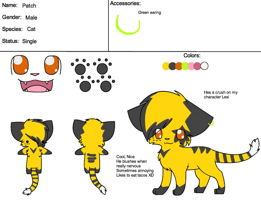 Patch 2011 Reff by pocketmonstaah on DeviantArt