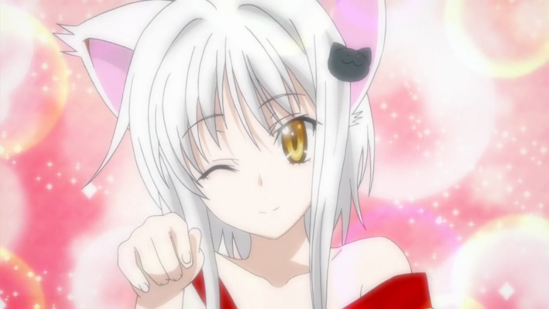 Free download Image Koneko chanpng High School DxD Wiki FANDOM