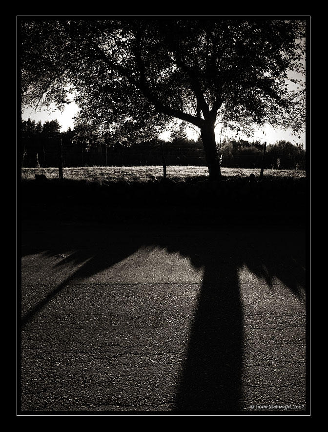 Bounds by goldomega on DeviantArt