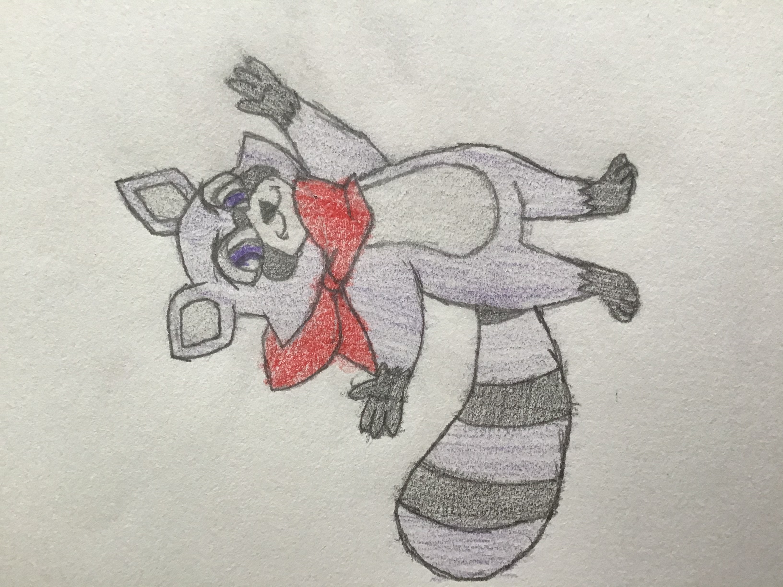 Rambley The Raccoon by TOMSMANGA on DeviantArt