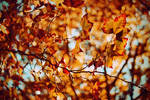 head at 90 degrees by CaitlinWorthington