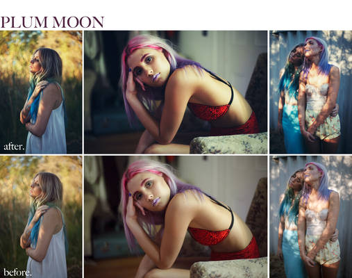 Plum Moon Curve Preset.