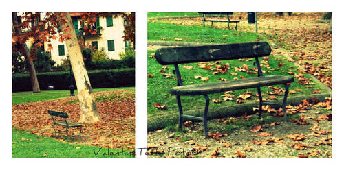 Autumn in Florence 2