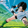 Videl Dragon Ball Z - Kame Hame Ha!