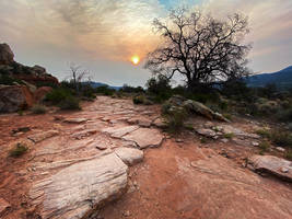 Canyons of the Ancients