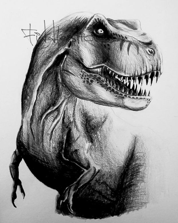 Charcoal drawing of a Tyrannosaurus Rex by p3vstudio on DeviantArt