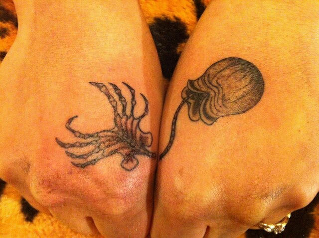 Facehugger and egg