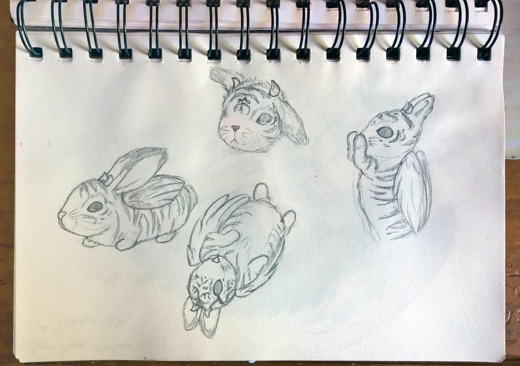 Tiger Rabbit Drawing Tiger Bunny Sketches by Laura-Jayne-Art on DeviantArt