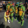 April and the Turtles