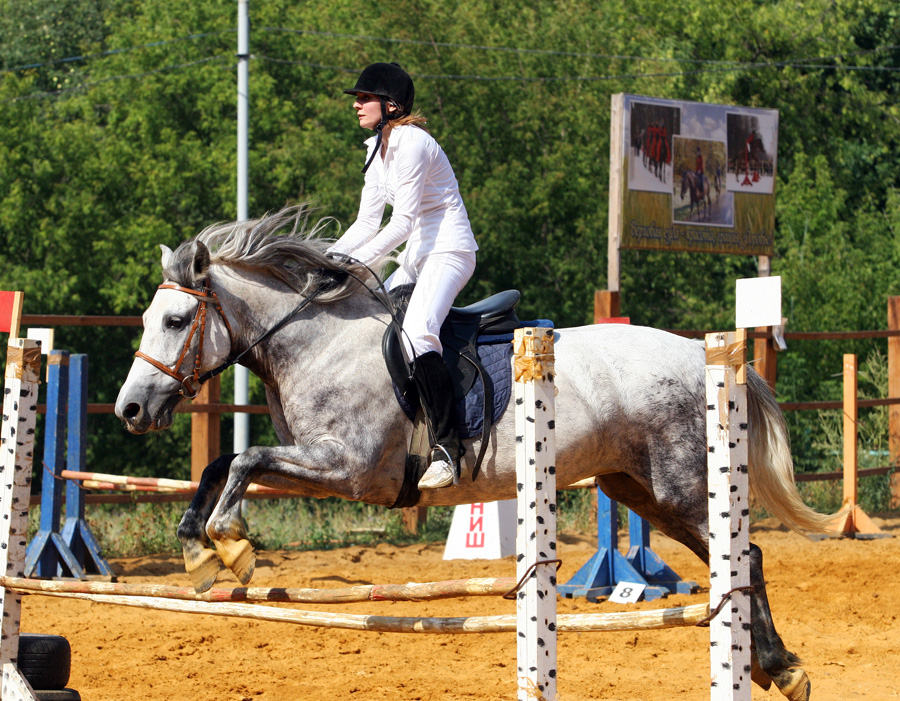 Show jumping