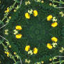 Games and daisy chains.
