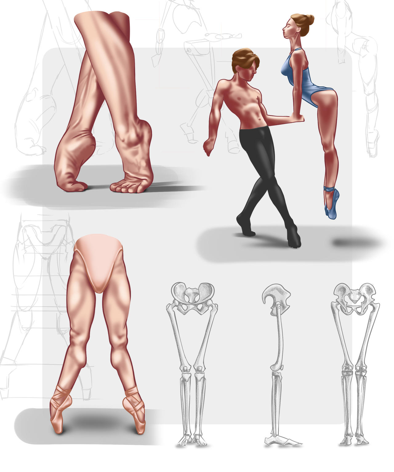 Leg Modification Deviantart Leg anatomy by JuliaRalyk on DeviantArt