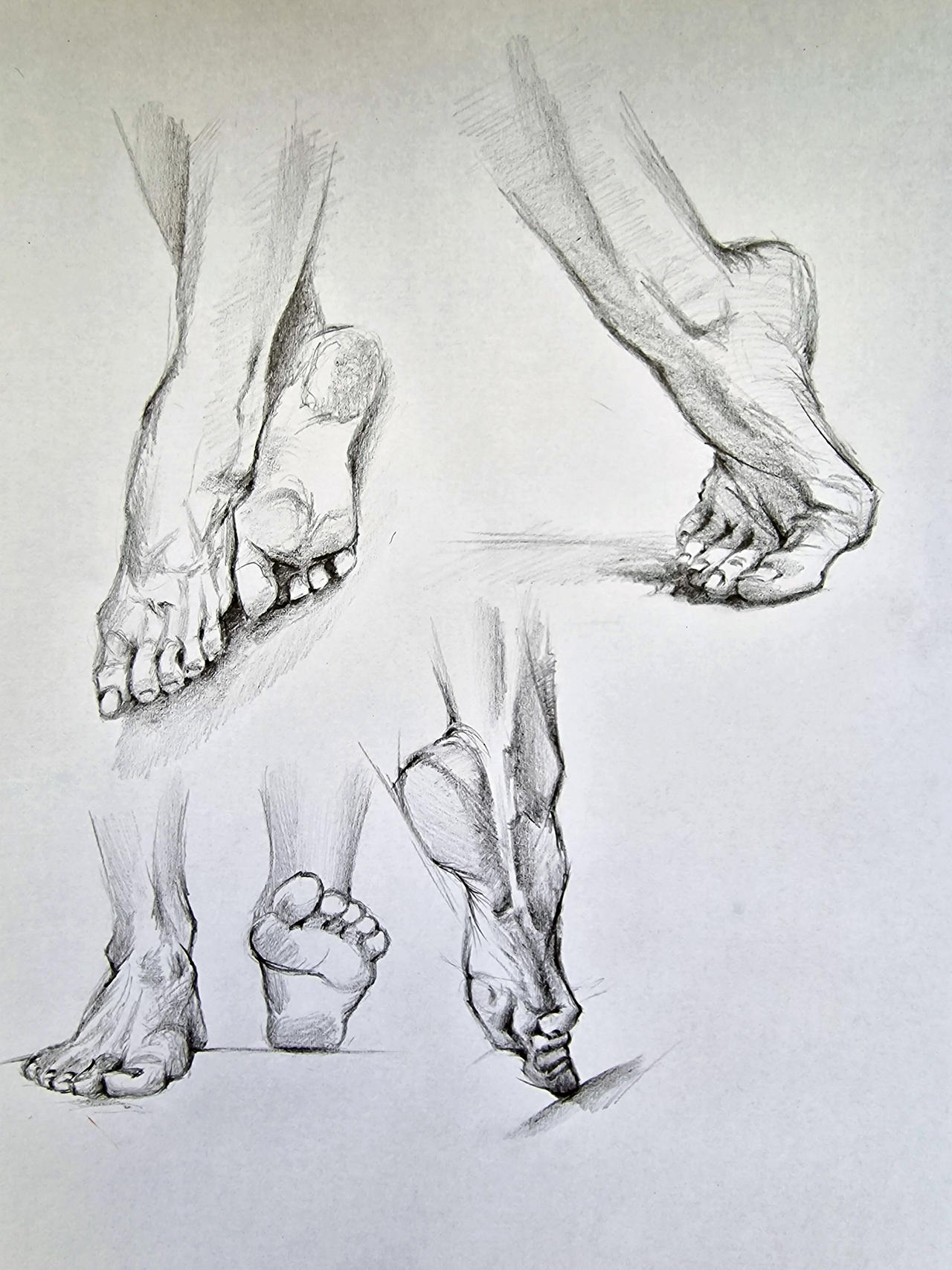 Foot Anatomy Drawing How To Draw The Foot : Drawing Feet And The