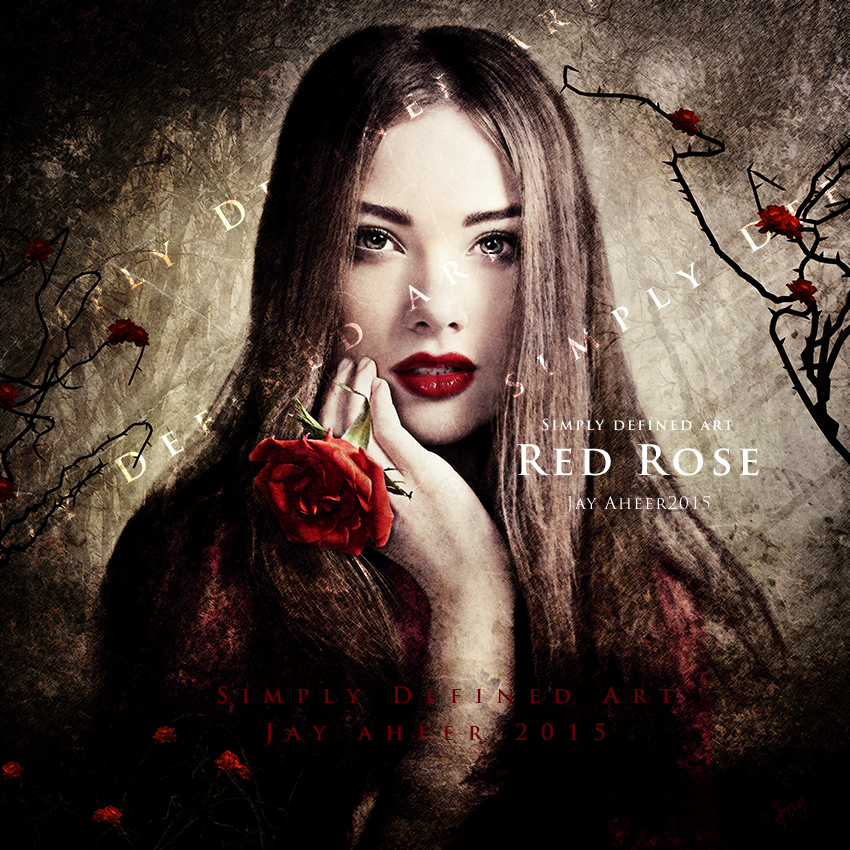 Red Rose by SimplyDefinedArt on DeviantArt