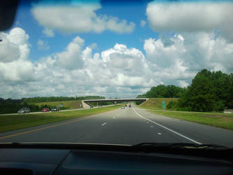 Window Shield View