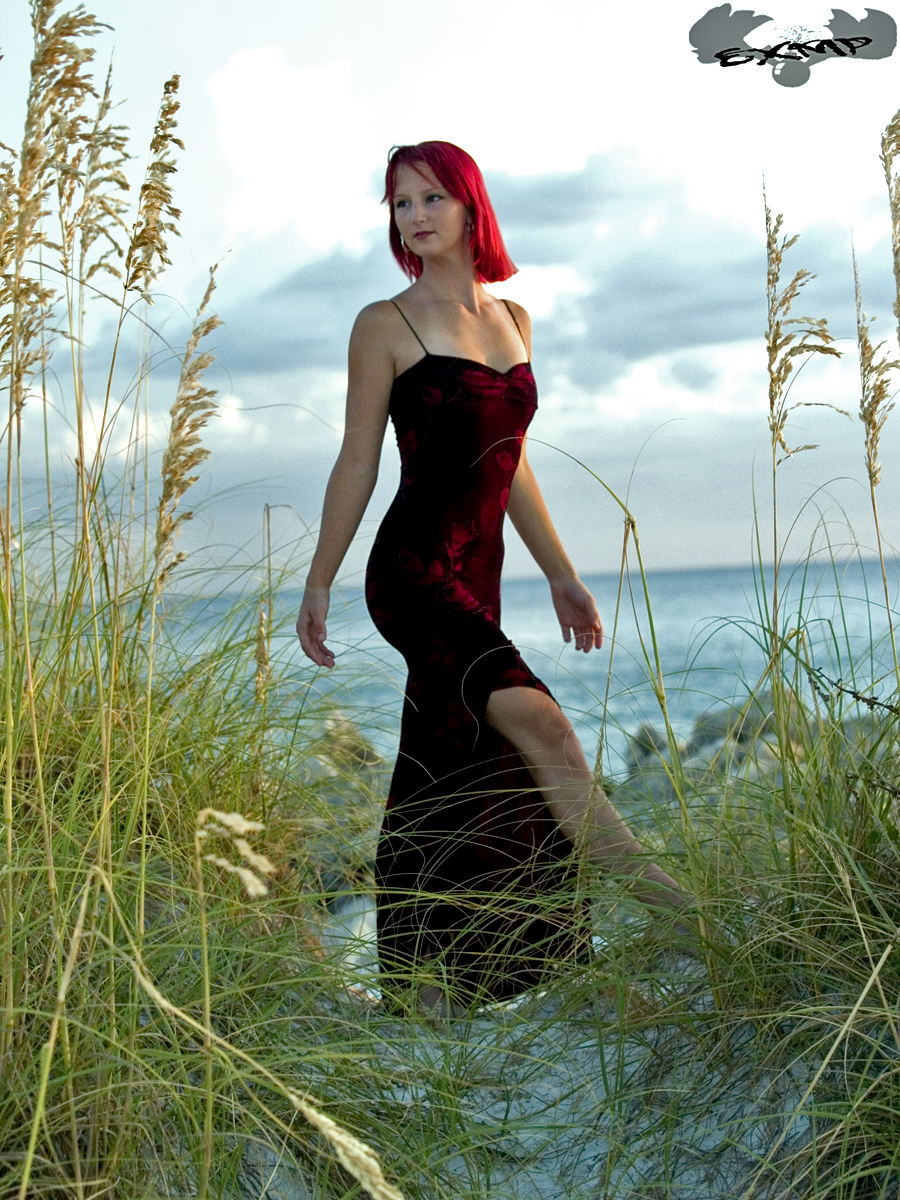 Red Dress