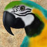 Parrot