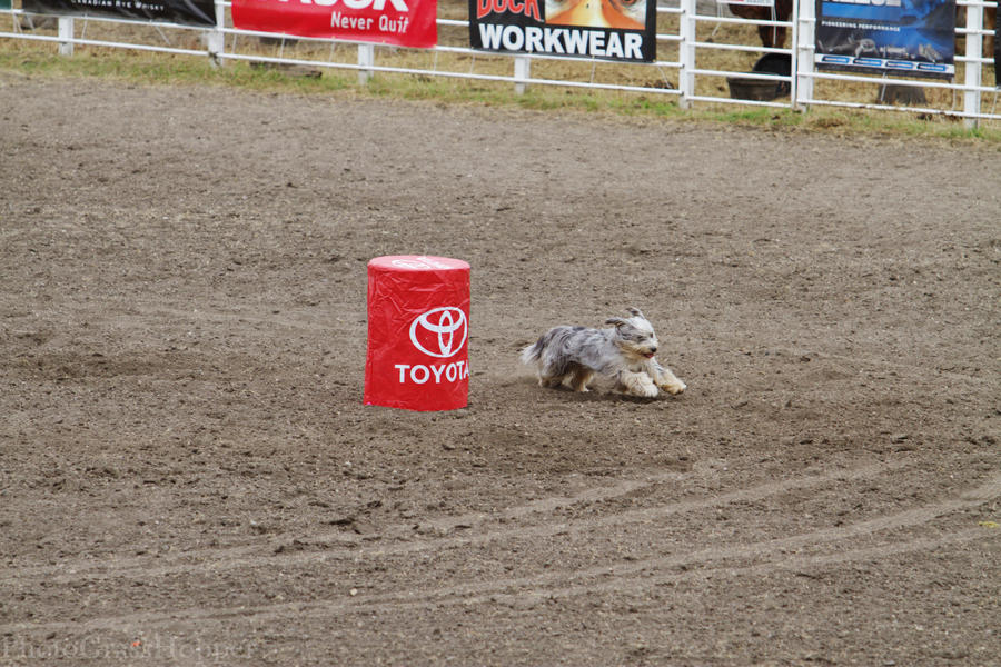 Barrel racing by PhotoGrassHopper on DeviantArt