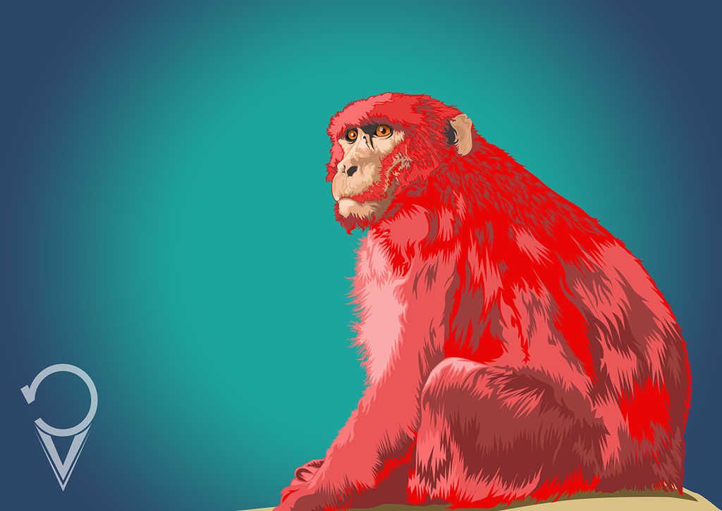 Deviantart 2007 Monkey monkey by kenjie99 on DeviantArt