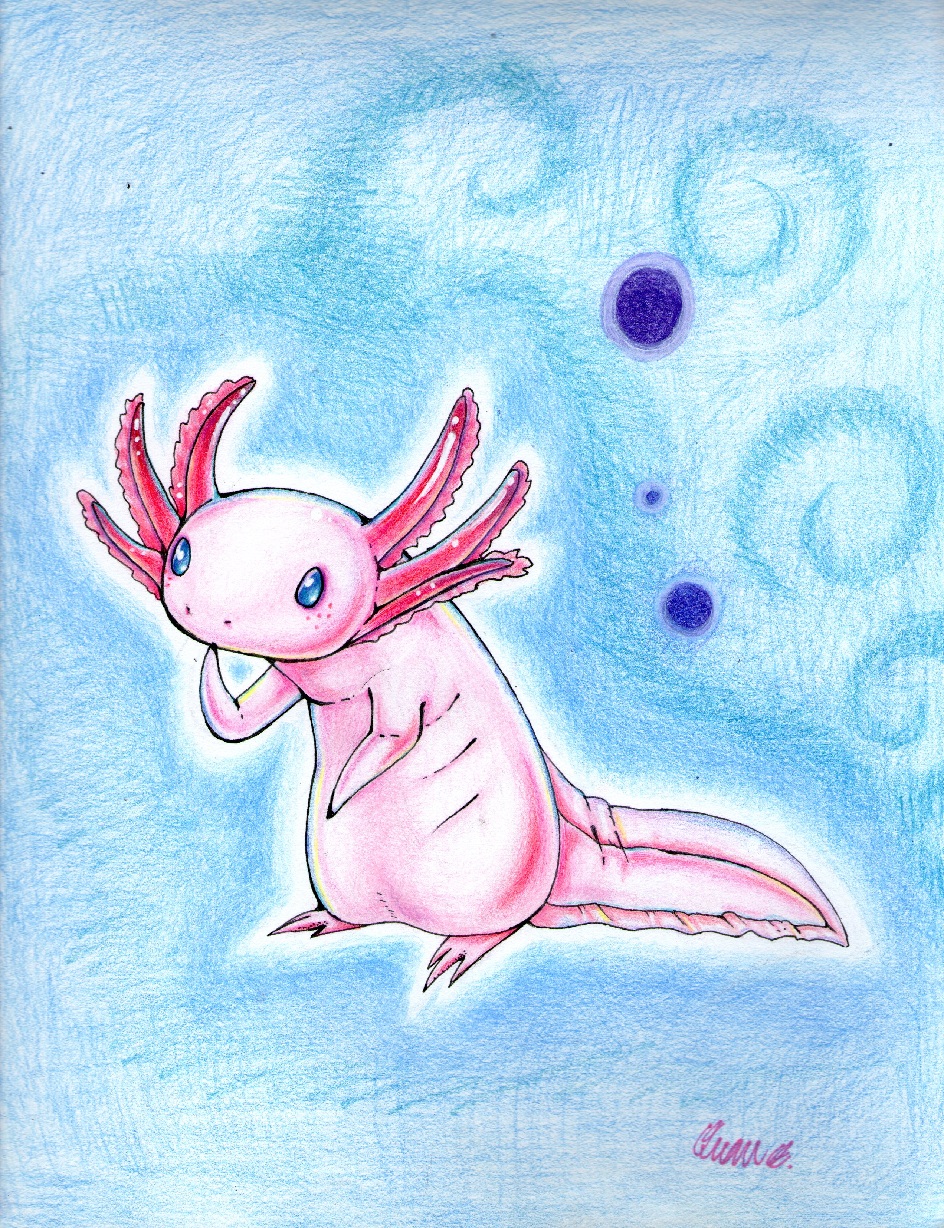 My Axolotl