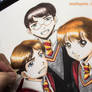 Ron, Hermione and Harry Potter