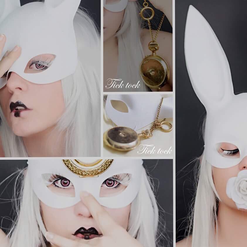 White rabbit Photoset