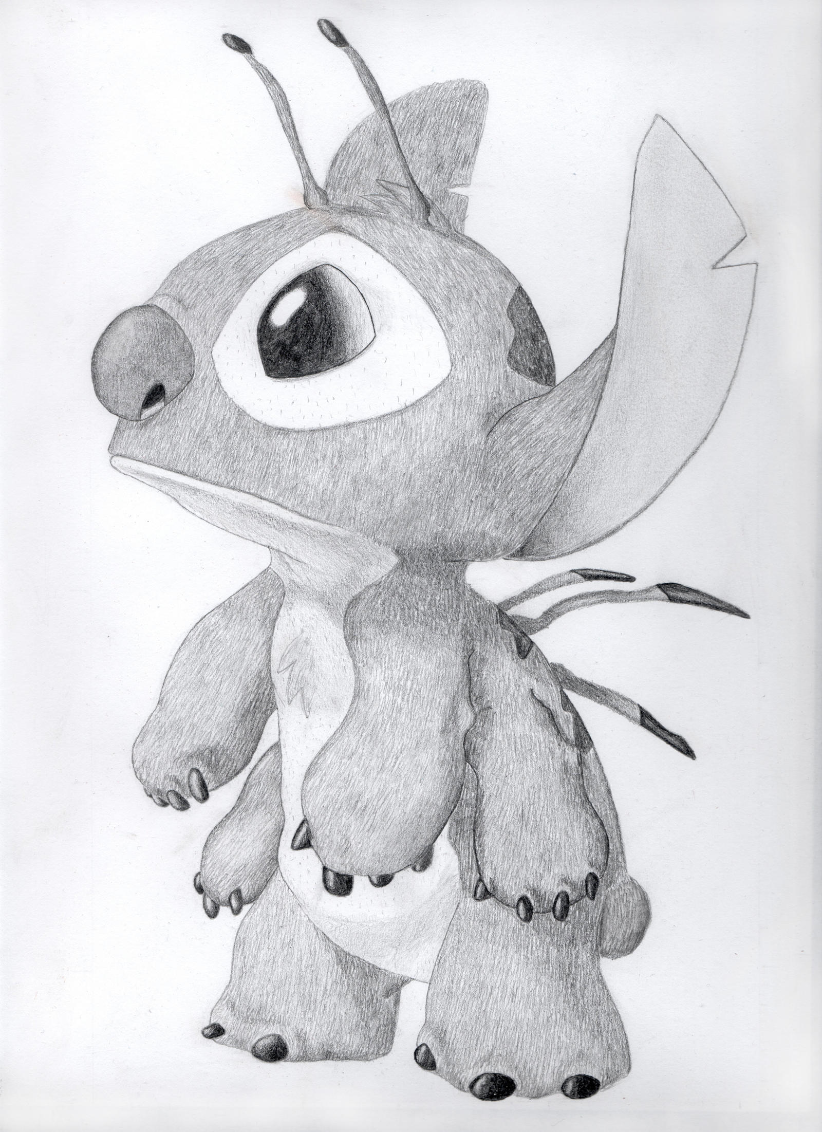 Stitch