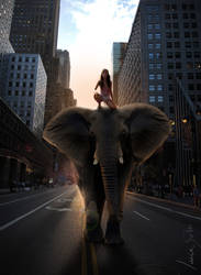 Elephant in New York