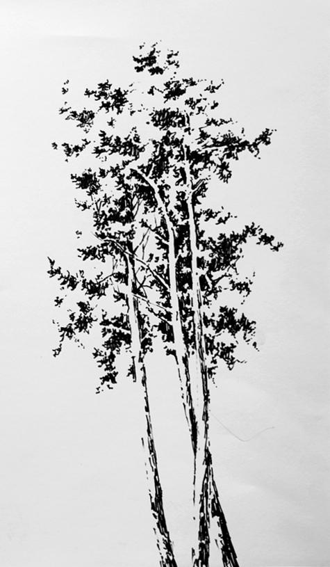 Tall Tree Drawable tall tree, quick sketch by szapp on DeviantArt