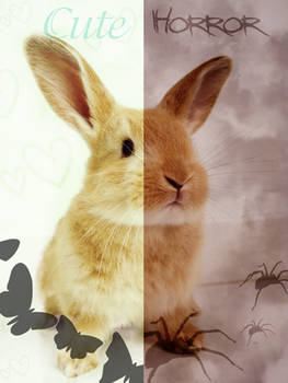 Cute-Vs-Horror. The Bunny War