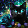 Blue Eyed Kitten with Blue Roses