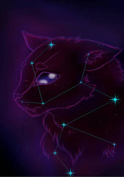 Galaxy cat 