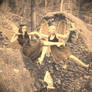 Garden Fairies
