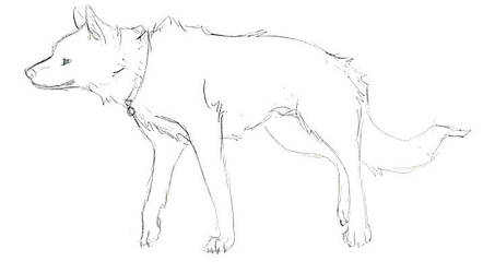 Sled Dog Doodle 2