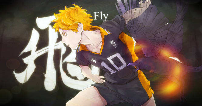 Fly - Hinata Shouyou