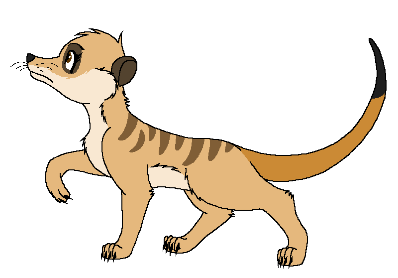 Another Meerkat Base - Adult Female