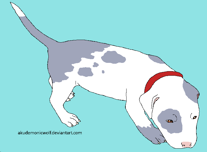 Unnamed Pitbull :3