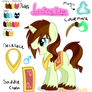 My Little Oc Pony Design Contest Entry